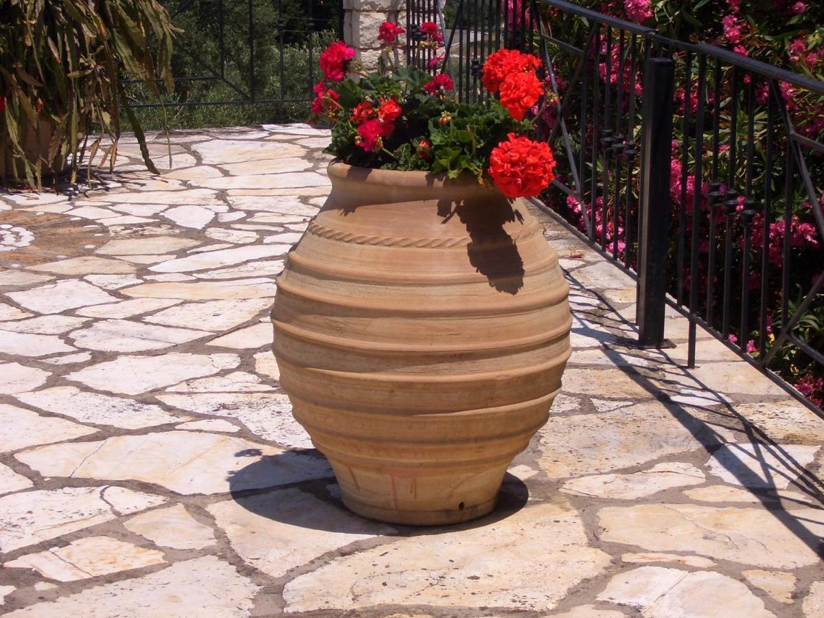 Villa Bacchus Kassiopi Corfu Exteriör bild